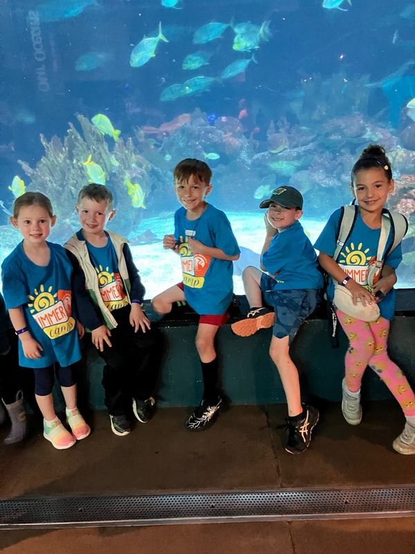 img_17189020349764671_photo